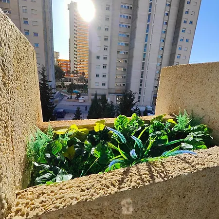 Playa Levante Lux Mar Apartment *